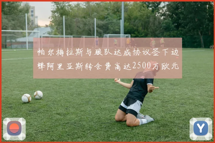 帕尔梅拉斯与狼队达成协议签下边锋阿里亚斯转会费高达2500万欧元